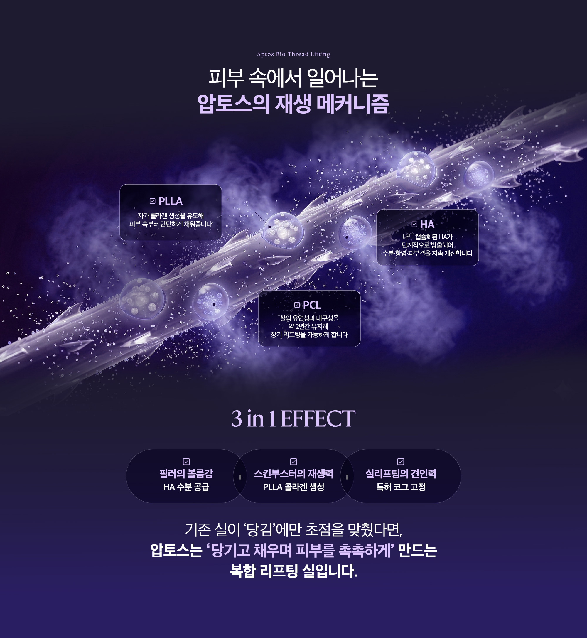 [압토스의 재생 메커니즘] PLLA : 자가 콜라겐 생성을 유도해 피부 속부터 단단하게 채워줍니다. / PCL : 실의 유연성과 내구성을 약 2년간 유지해 장기 리프팅을 가능하게 합니다. / HA : 나노 캡슐화가 HA가 단계적으로 방출되어 수분·항염·피부결을 지속 개선합니다.